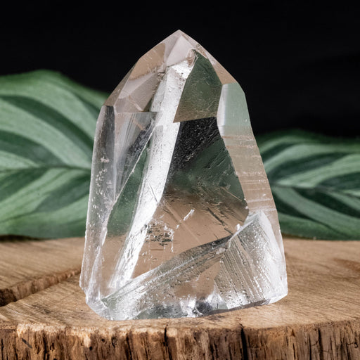 Lemurian Seed Crystal 50 g 47x36mm - InnerVision Crystals