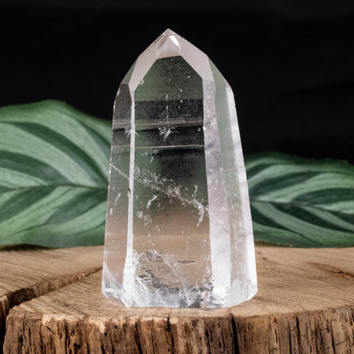 Lemurian Seed Crystal 50 g 54x31mm - InnerVision Crystals