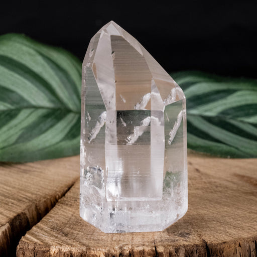 Lemurian Seed Crystal 52 g 50x29mm - InnerVision Crystals