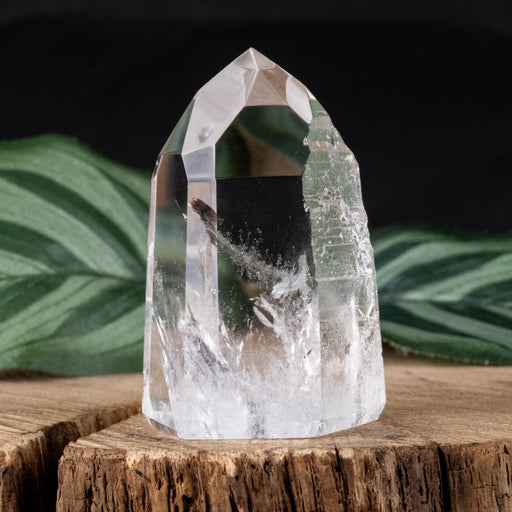 Lemurian Seed Crystal 53 g 47x31mm - InnerVision Crystals