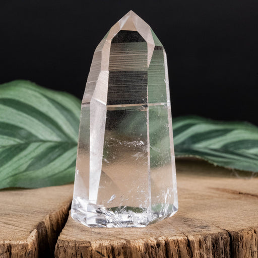 Lemurian Seed Crystal 55 g 59x29mm - InnerVision Crystals
