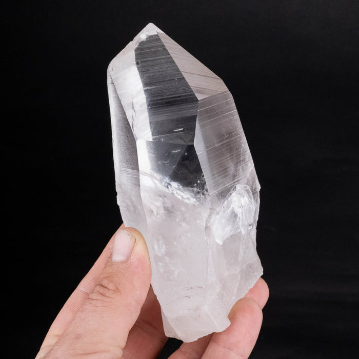 Lemurian Seed Crystal 554 g 132x65mm *DING - InnerVision Crystals