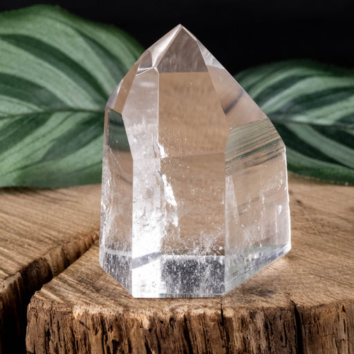 Lemurian Seed Crystal 56 g 43x33mm - InnerVision Crystals