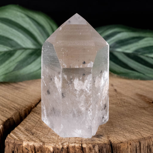 Lemurian Seed Crystal 57 g 50x28mm - InnerVision Crystals