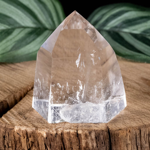 Lemurian Seed Crystal 58 g 42x37mm - InnerVision Crystals