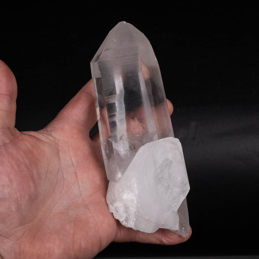 Lemurian Seed Crystal 582 g 155x55mm - InnerVision Crystals