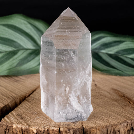 Lemurian Seed Crystal 60 g 58x26mm - InnerVision Crystals