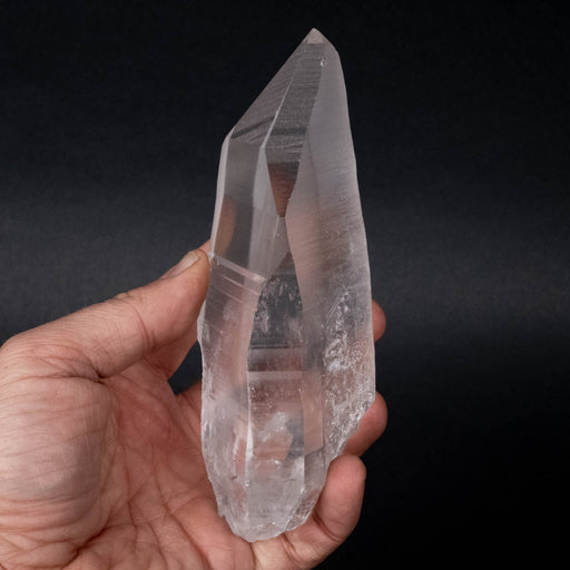 Lemurian Seed Crystal 604 g 157x59mm - InnerVision Crystals