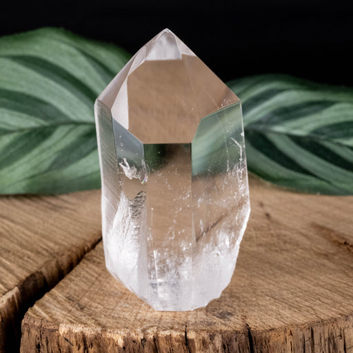Lemurian Seed Crystal 63 g 53x30mm - InnerVision Crystals