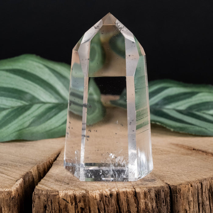 Lemurian Seed Crystal 64 g 57x32mm - InnerVision Crystals