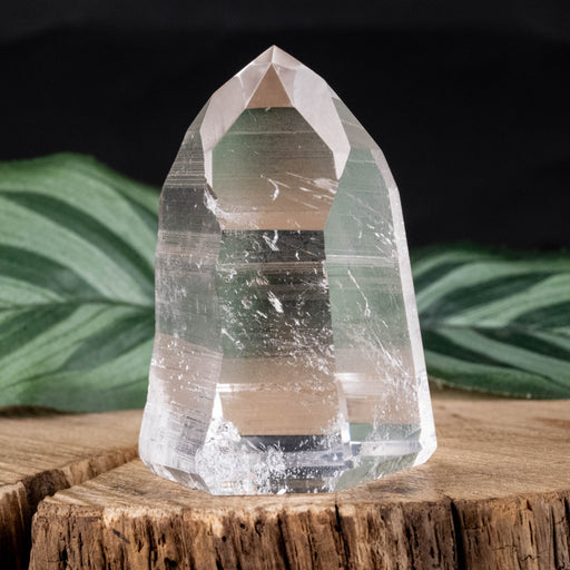 Lemurian Seed Crystal 67 g 49x34mm - InnerVision Crystals