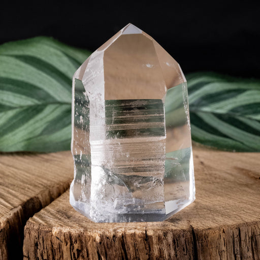Lemurian Seed Crystal 69 g 51x35mm - InnerVision Crystals