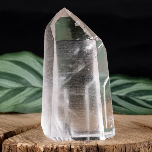 Lemurian Seed Crystal 74 g 61x34mm - InnerVision Crystals