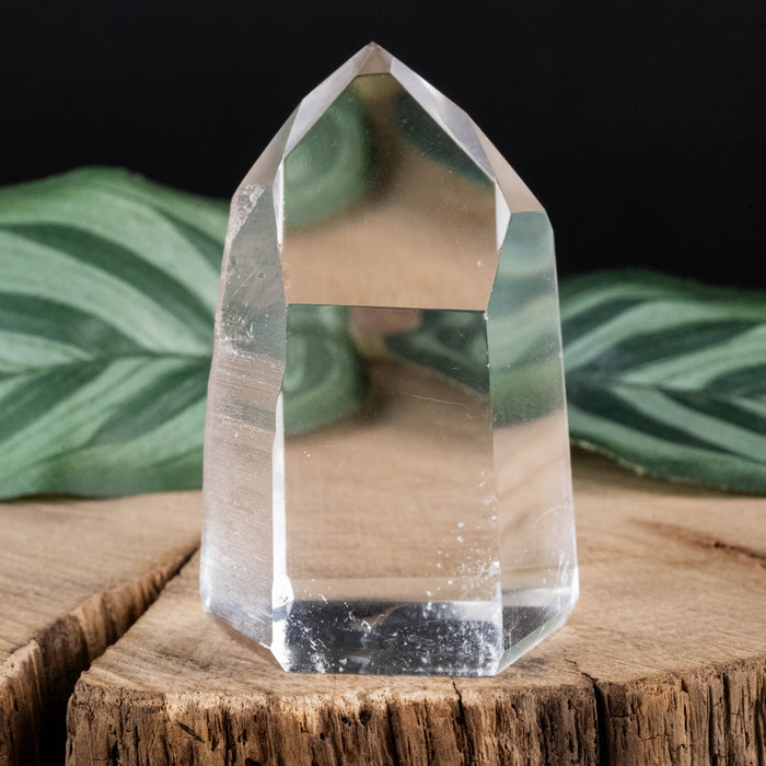 Lemurian Seed Crystal 75 g 54x35mm - InnerVision Crystals