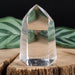 Lemurian Seed Crystal 75 g 54x35mm - InnerVision Crystals