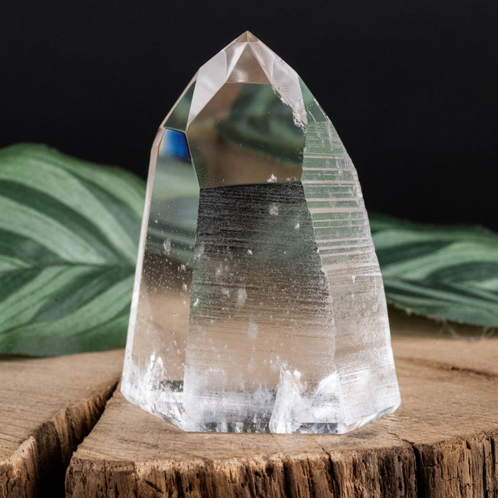Lemurian Seed Crystal 79 g 54x40mm - InnerVision Crystals