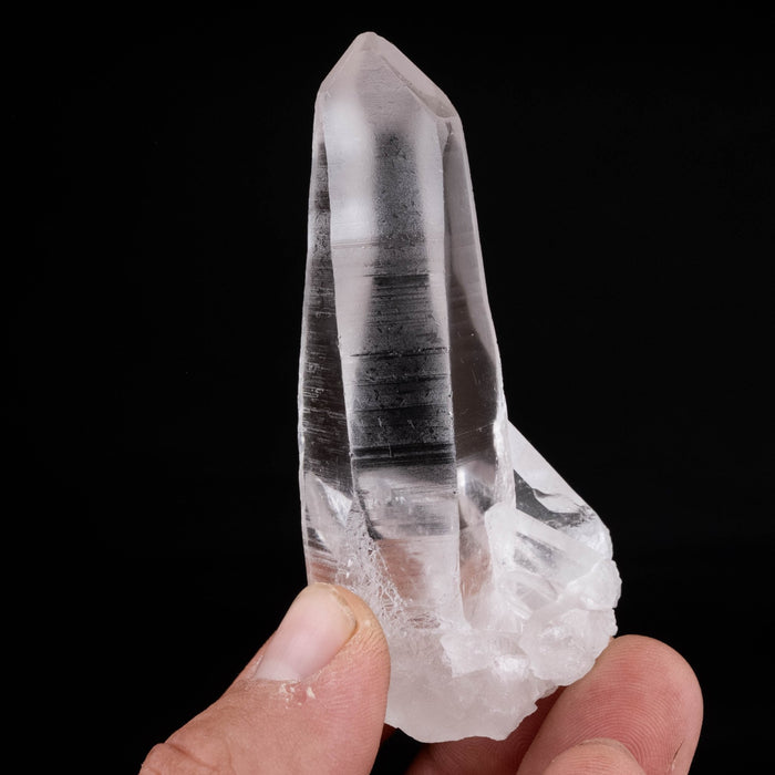Lemurian Seed Crystal 80 g 83x37mm - InnerVision Crystals