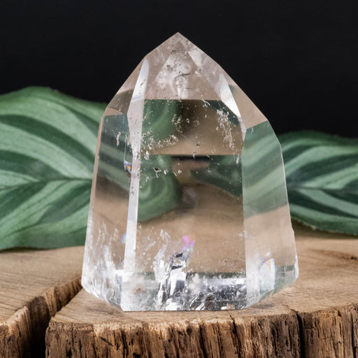 Lemurian Seed Crystal 95 g 50x42mm - InnerVision Crystals