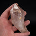 Lemurian Seed Crystal Dreamcoat 222 g 107x46mm - InnerVision Crystals