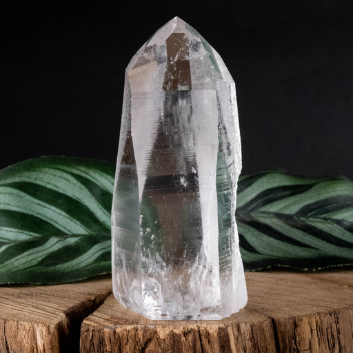 Lemurian Seed Crystal Polished Point 100 g 72x35mm - InnerVision Crystals