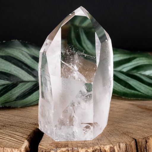 Lemurian Seed Crystal Polished Point 106 g 61x38mm - InnerVision Crystals