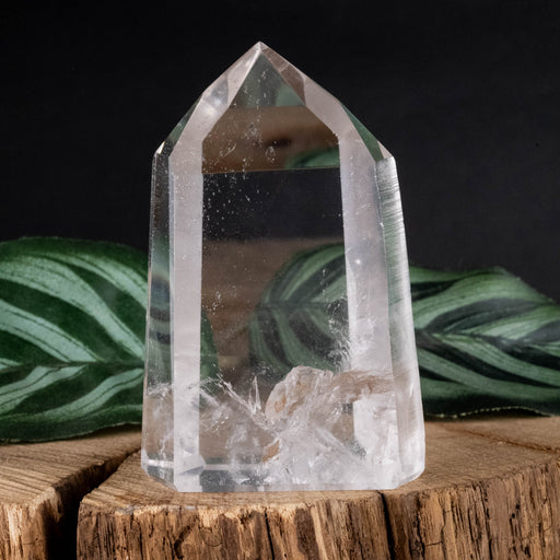 Lemurian Seed Crystal Polished Point 117 g 67x45mm - InnerVision Crystals