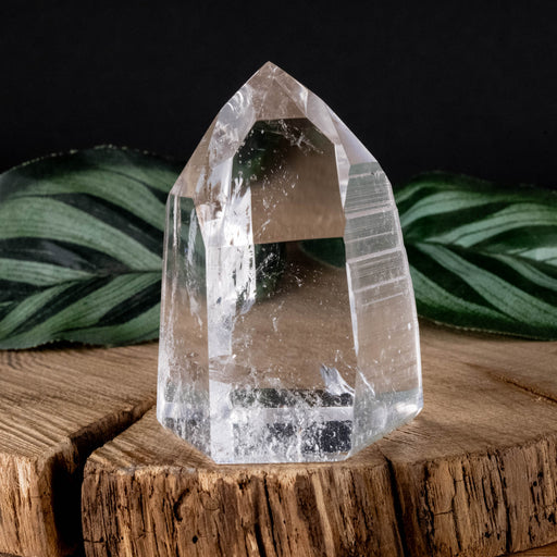Lemurian Seed Crystal Polished Point 118 g 57x43mm - InnerVision Crystals