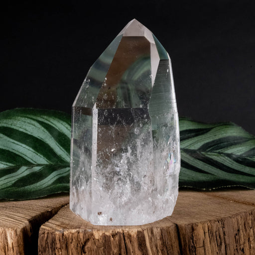 Lemurian Seed Crystal Polished Point 130 g 68x38mm - InnerVision Crystals