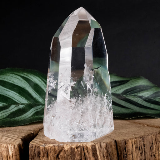 Lemurian Seed Crystal Polished Point 131 g 70x43mm - InnerVision Crystals