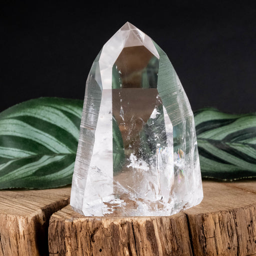 Lemurian Seed Crystal Polished Point 132 g 64x46mm - InnerVision Crystals