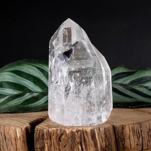 Lemurian Seed Crystal Polished Point 133 g 62x44mm - InnerVision Crystals