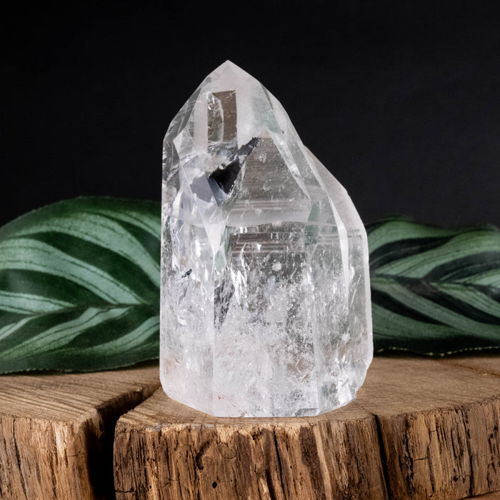 Lemurian Seed Crystal Polished Point 133 g 62x44mm - InnerVision Crystals