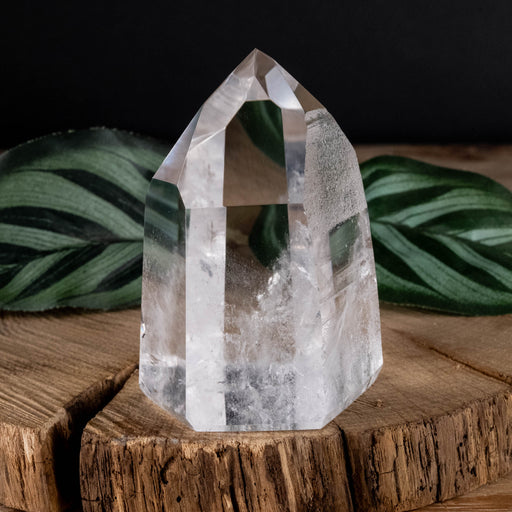 Lemurian Seed Crystal Polished Point 171 g 63x52mm - InnerVision Crystals