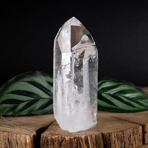 Lemurian Seed Crystal Polished Point 171 g 87x42mm - InnerVision Crystals