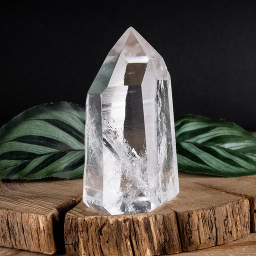 Lemurian Seed Crystal Polished Point 177 g 75x49mm - InnerVision Crystals