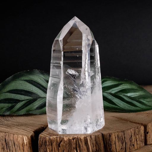 Lemurian Seed Crystal Polished Point 182 g 84x39mm - InnerVision Crystals