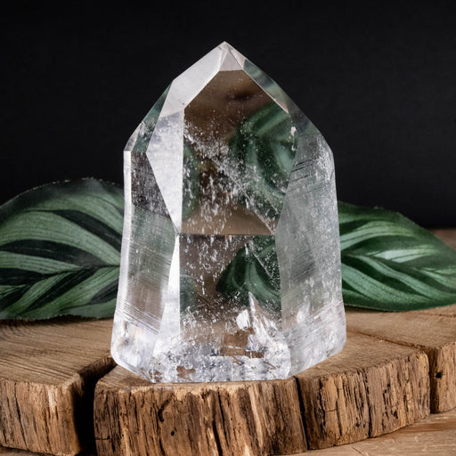 Lemurian Seed Crystal Polished Point 273 g 77x56mm - InnerVision Crystals