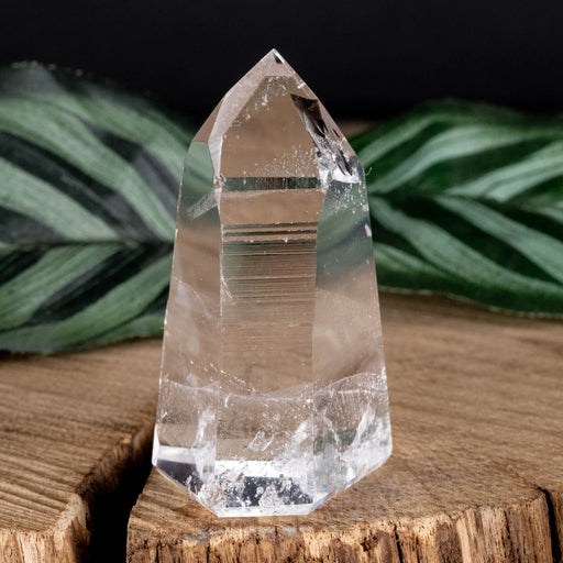 Lemurian Seed Crystal Polished Point 38 g 47x26mm - InnerVision Crystals