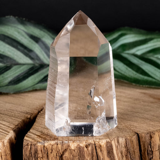 Lemurian Seed Crystal Polished Point 45 g 48x28mm - InnerVision Crystals