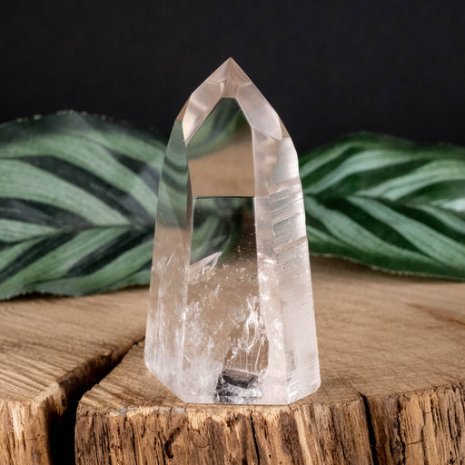 Lemurian Seed Crystal Polished Point 52 g 53x33mm - InnerVision Crystals
