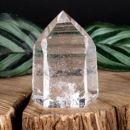 Lemurian Seed Crystal Polished Point 54 g 46x34mm - InnerVision Crystals