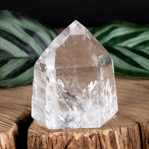 Lemurian Seed Crystal Polished Point 59 g 41x36mm - InnerVision Crystals
