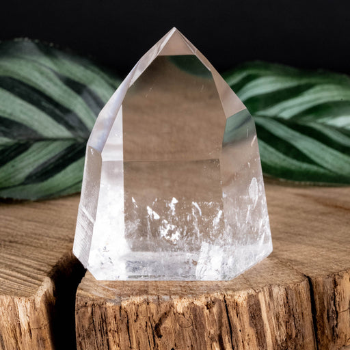Lemurian Seed Crystal Polished Point 61 g 47x40mm - InnerVision Crystals