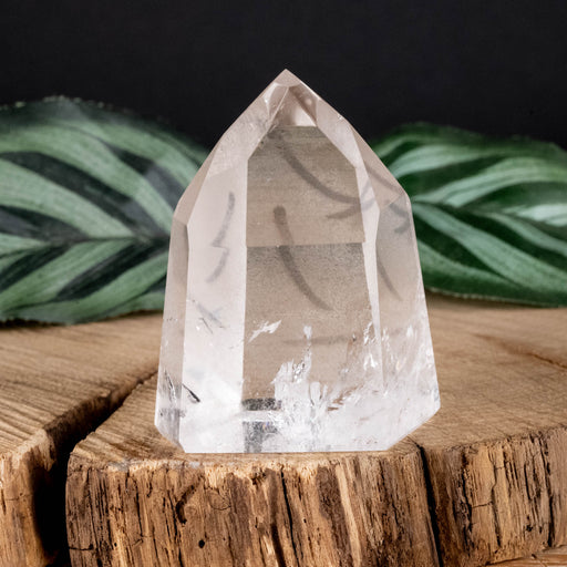 Lemurian Seed Crystal Polished Point 63 g 47x38mm - InnerVision Crystals