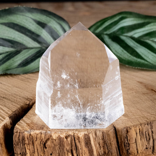 Lemurian Seed Crystal Polished Point 64 g 44x41mm - InnerVision Crystals
