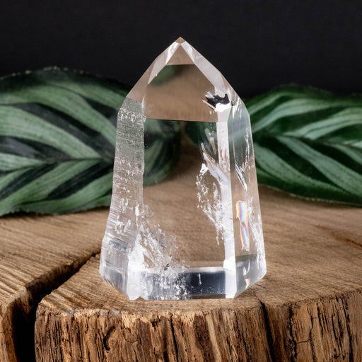 Lemurian Seed Crystal Polished Point 67 g 52x32mm - InnerVision Crystals