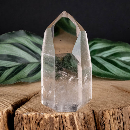 Lemurian Seed Crystal Polished Point 67 g 56x29mm - InnerVision Crystals