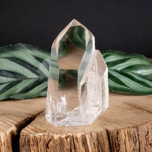 Lemurian Seed Crystal Polished Point 68 g 57x35mm - InnerVision Crystals
