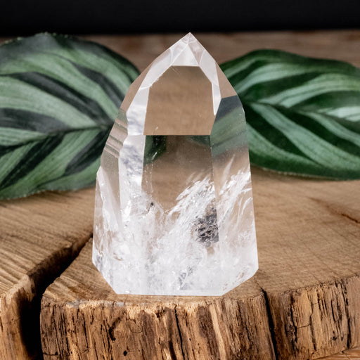Lemurian Seed Crystal Polished Point 69 g 51x34mm - InnerVision Crystals