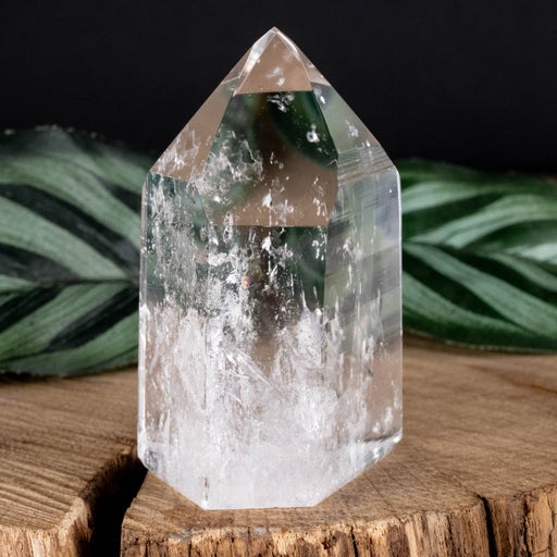 Lemurian Seed Crystal Polished Point 88 g 57x34mm - InnerVision Crystals